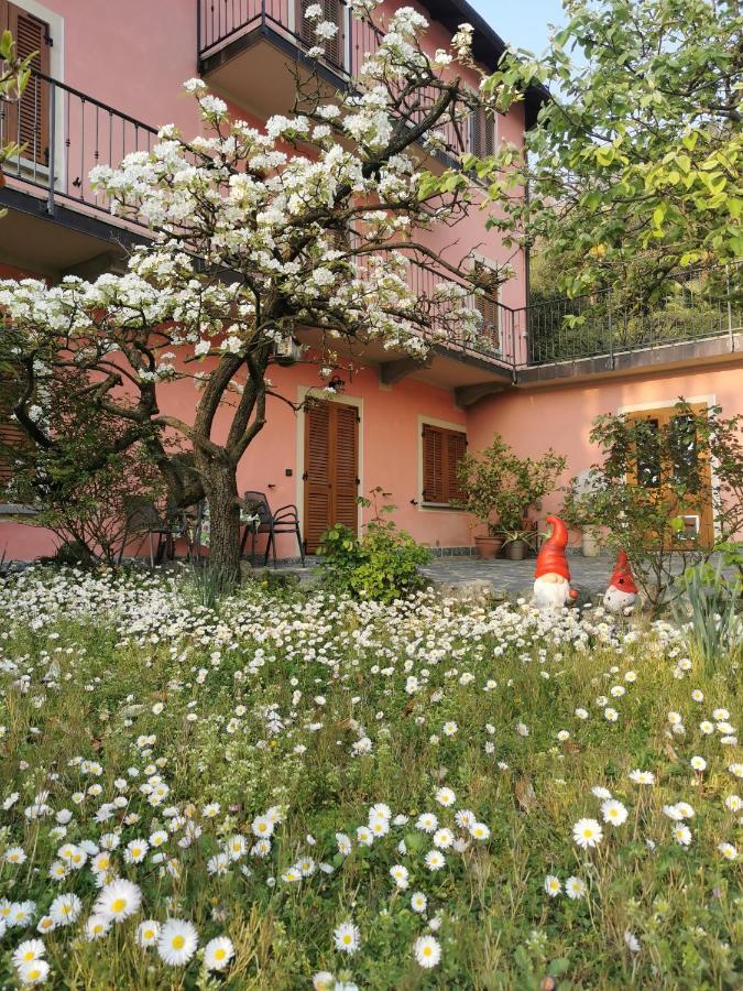 La Baia D'Acquadolce Villa Bolzano Novarese Екстериор снимка